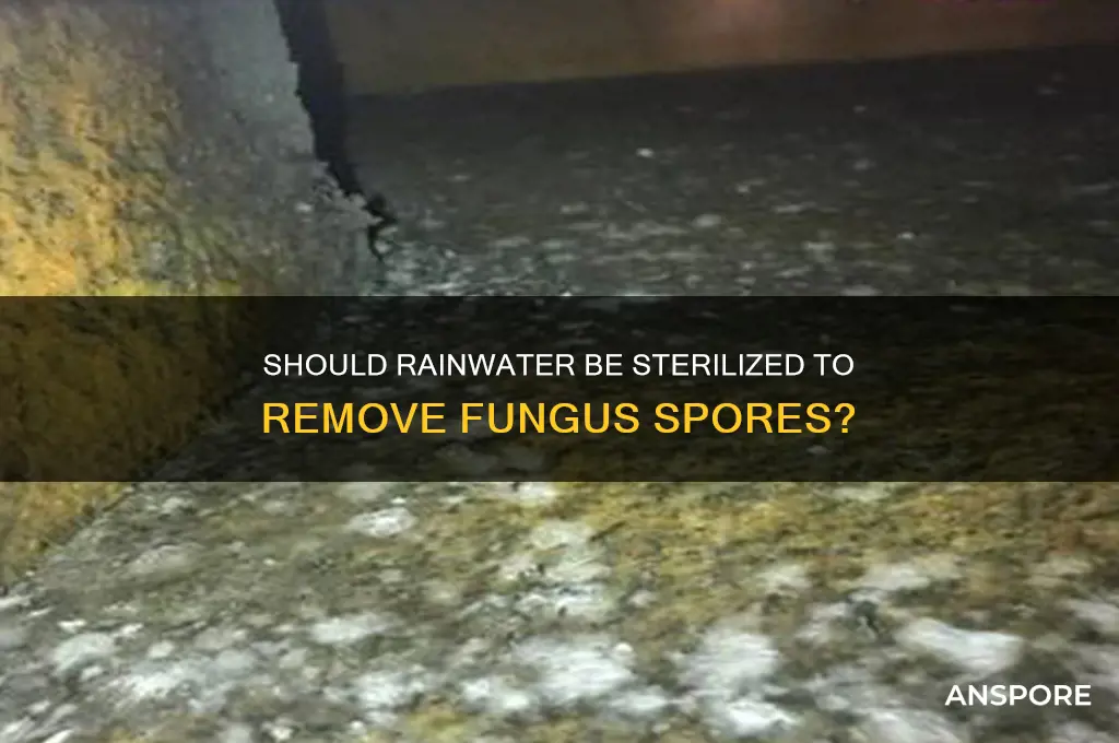 should rainwater be sterilized to remove fungus spores