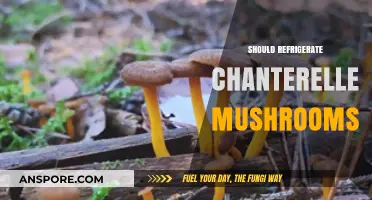 Chanterelle Mushrooms: Fridge or Pantry?