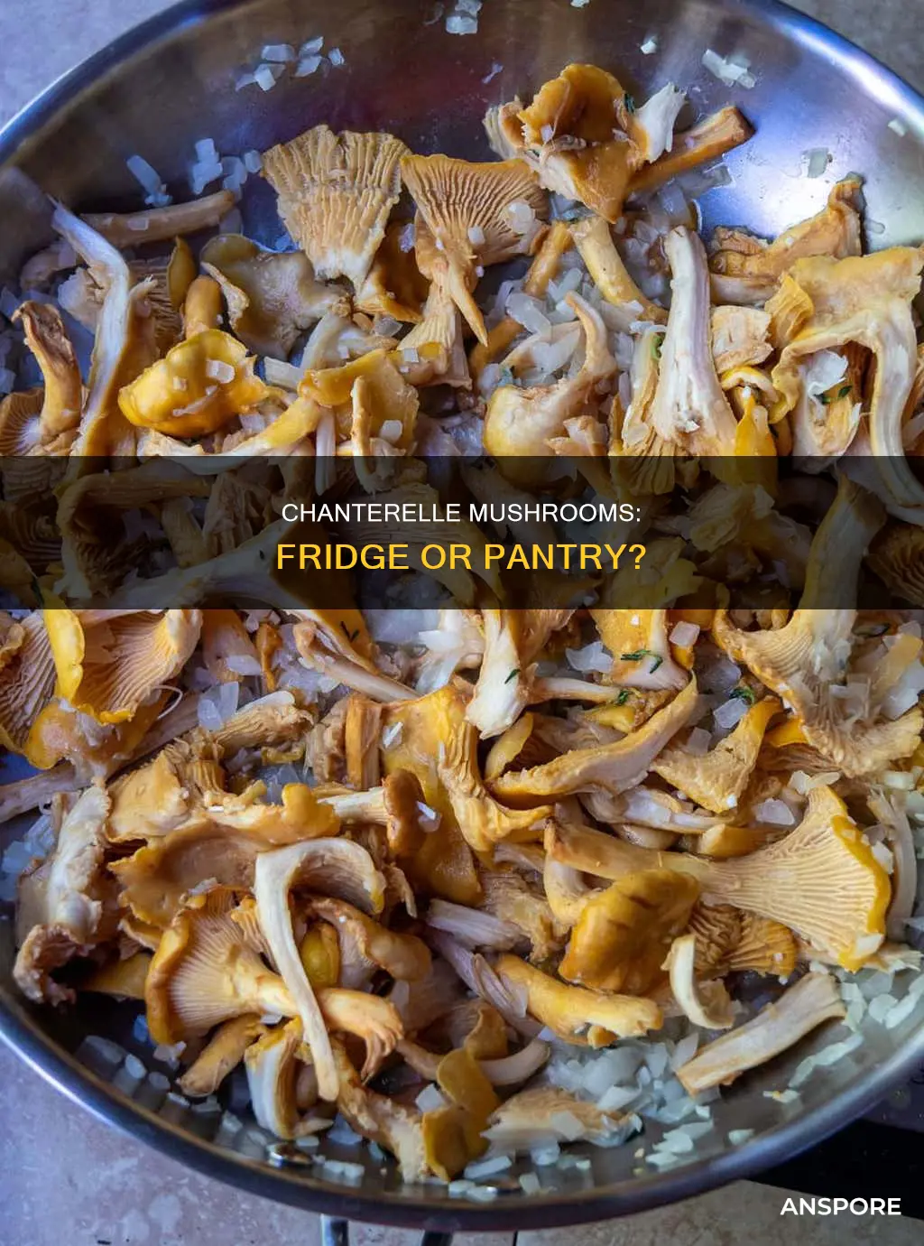 should refrigerate chanterelle mushrooms