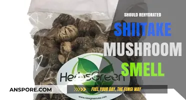 Shiitake Smells: Rehydrated and Ready to Eat?