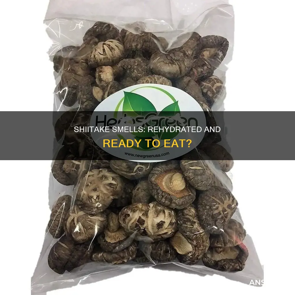 should rehydrated shiitake mushrooms smell