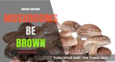 Shiitake Mushrooms: Brown or Not?