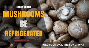 The Shiitake Storage Question: Fridge or No Fridge?