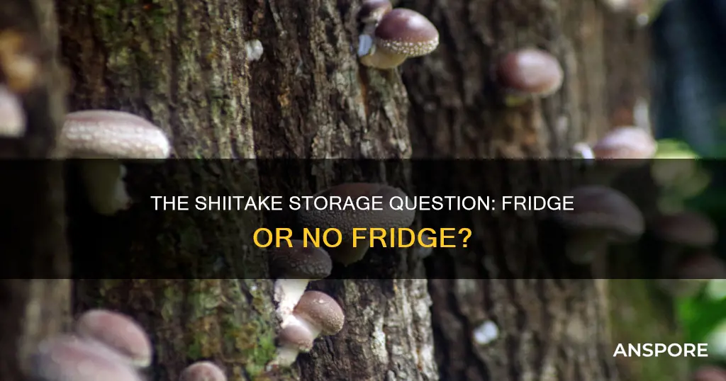 should shiitake mushrooms be refrigerated