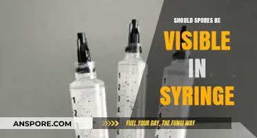 Are Visible Spores in Syringes Normal or Cause for Concern?