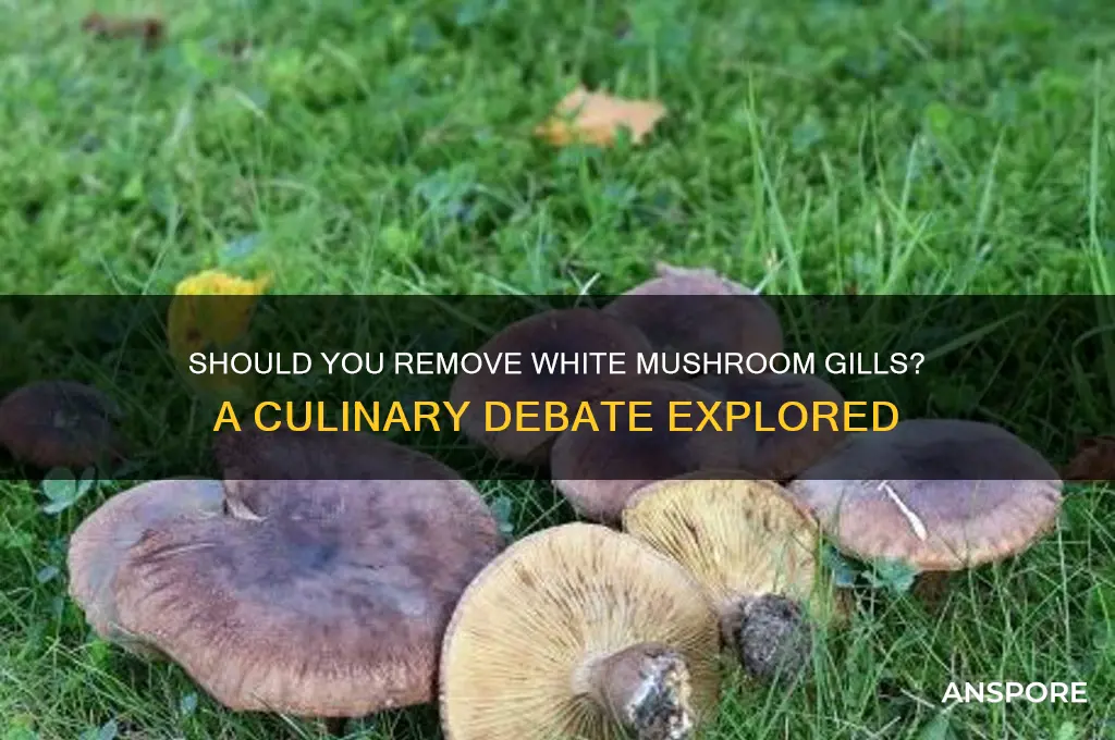 should the gills from white mushrooms be removed