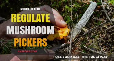 Regulating Mushroom Foragers: Balancing Conservation, Safety, and Personal Freedom