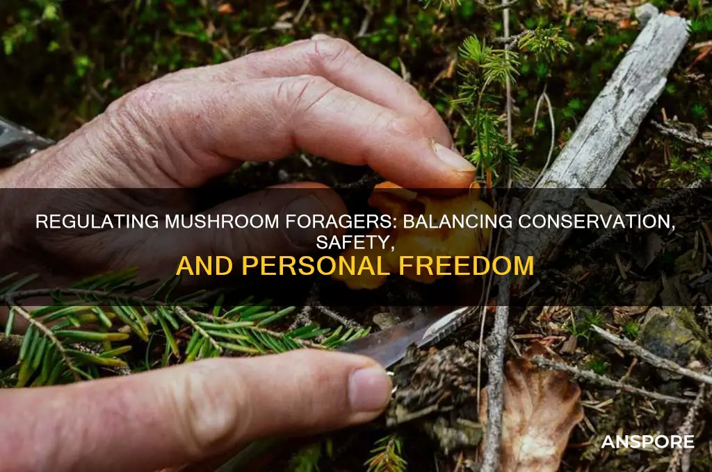 should the state regulate mushroom pickers