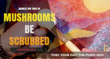 Should You Scrub Mushroom Tops? A Cleaning Debate Explored