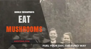 Theosophy and Fungi: Should Practitioners Include Mushrooms in Their Diet?