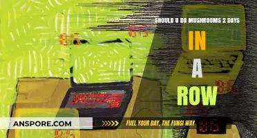 Consecutive Mushroom Trips: Risks and Considerations for Back-to-Back Use