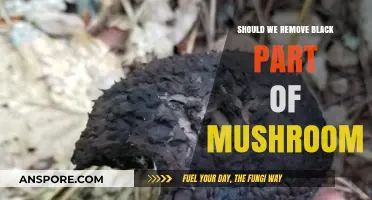 Should We Remove the Black Part of a Mushroom? Facts and Myths