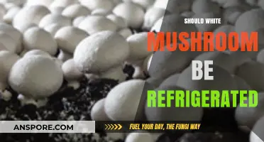 White Mushrooms: Fridge or No Fridge?