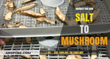 Should You Add Salt to Mushrooms? A Culinary Debate Explored