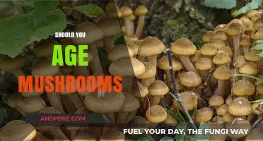 Aging Mushrooms: Enhancing Flavor and Texture