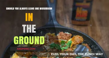 Leave One Mushroom Behind: The Forager's Ethical Dilemma Explained