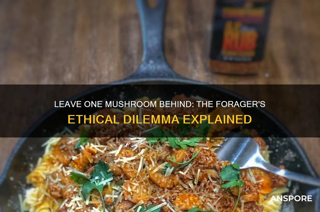 should you always leave one mushroom in the ground