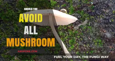 Mushrooms: Friend or Foe?