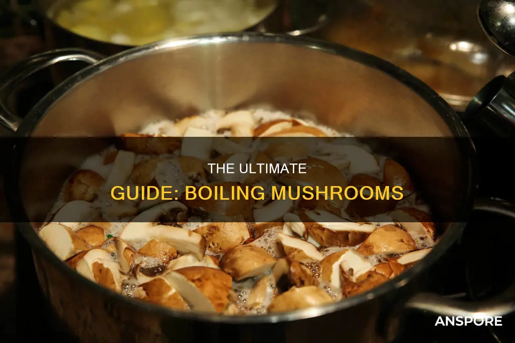 should you boil mushrooms