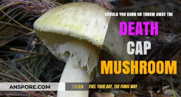 Death Cap Mushroom Disposal: Burning vs. Throwing Away Safely