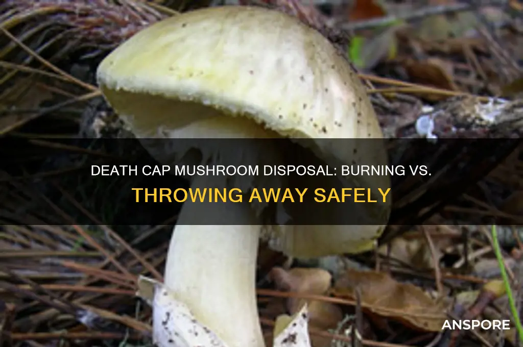 should you burn or throw away the death cap mushroom