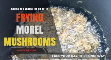 Frying Morel Mushrooms: Should You Change the Oil Afterward?
