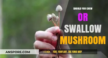 Chew or Swallow: The Best Way to Consume Mushrooms