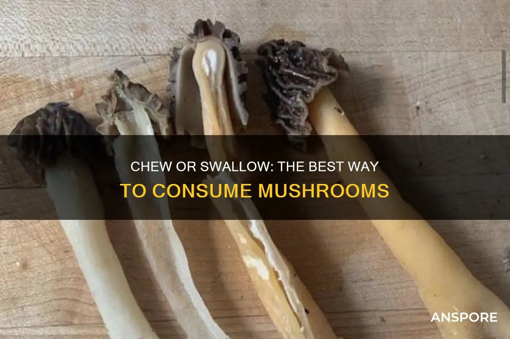 should you chew or swallow mushrooms