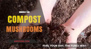 Composting Mushrooms: What's the Deal?