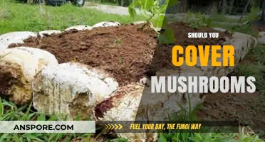 The Mystery of Mushroom Management: Cover or Not?
