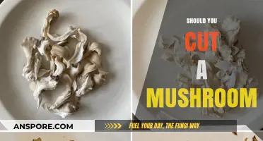 Mushroom Cutting: To Slice or Not to Slice?