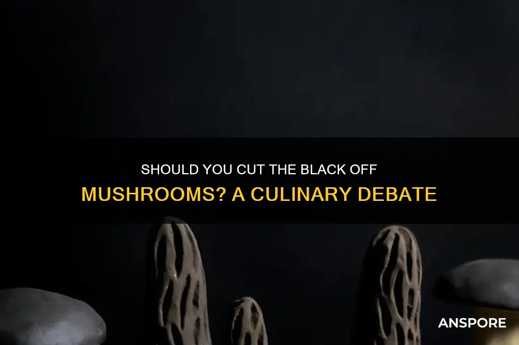 should you cut the black off mushrooms