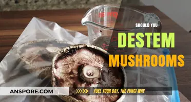 The Truth About Destemming Mushrooms