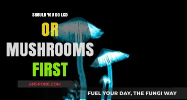 LCD vs. Mushrooms: Which Psychedelic Experience Should You Choose First?