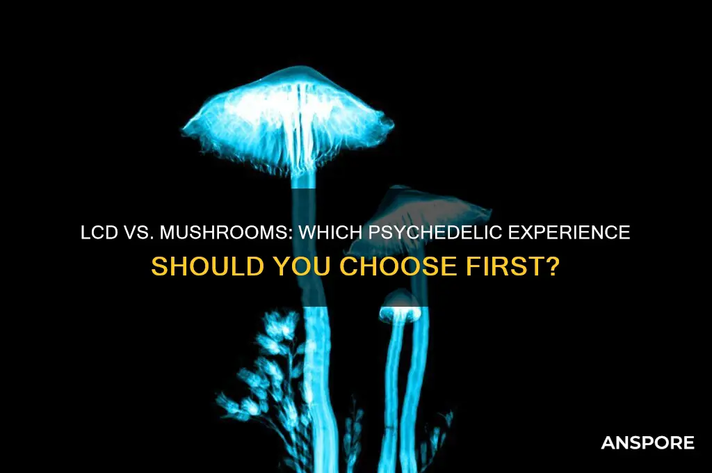 should you do lcd or mushrooms first