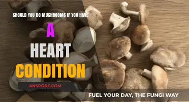 Mushrooms and Heart Health: Safe or Risky for Cardiac Patients?