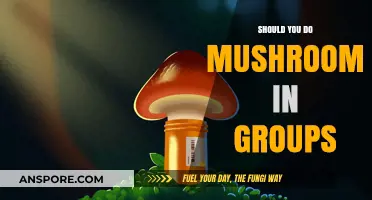 Group Mushroom Trips: Benefits, Risks, and Social Dynamics Explored