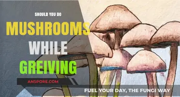Grief and Psilocybin: Exploring Mushrooms as a Healing Tool