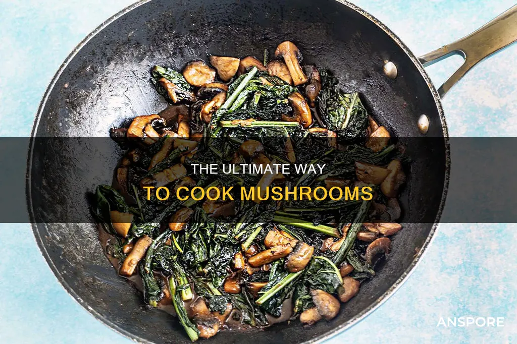 should you dry fry mushrooms