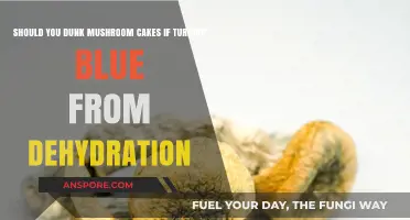 Dunking Dehydrated Mushroom Cakes: The Blue Hue Dilemma Explained