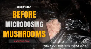 Microdosing Mushrooms: Should You Eat Before or Stay Fasted?