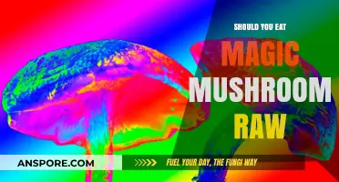 Raw Magic Mushrooms: Benefits, Risks, and Consumption Tips Explained