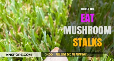 Mushroom Stalks: Edible or Not? A Guide to Safe Consumption