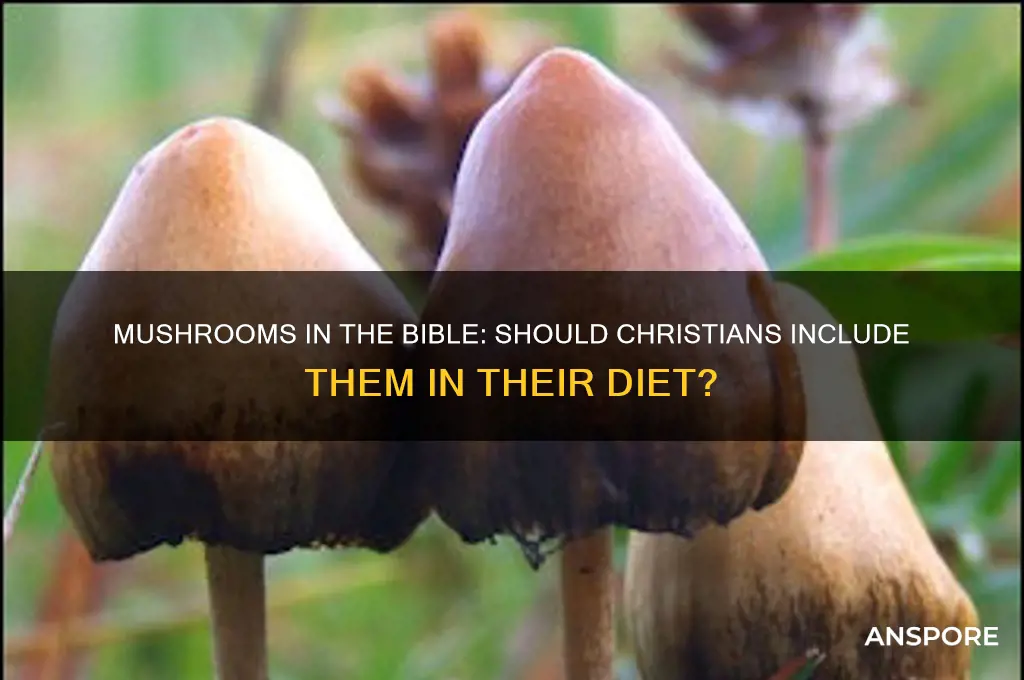 should you eat mushrooms bible