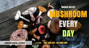 Daily Mushroom Consumption: Benefits, Risks, and Expert Recommendations Explained