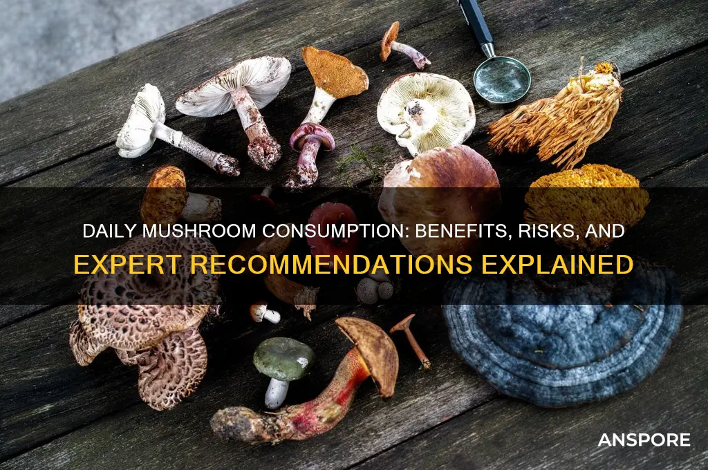 should you eat mushrooms every day