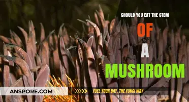 Mushroom Stems: Edible or Not? A Guide to Safe Consumption
