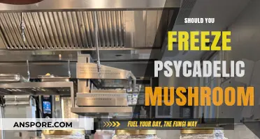 Freezing Psychedelic Mushrooms: Is It Worth It?