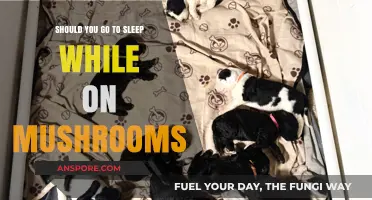 Sleeping on Shrooms: Risks, Benefits, and What to Expect