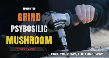 Why Grinding Your Own Mushrooms is Worthwhile